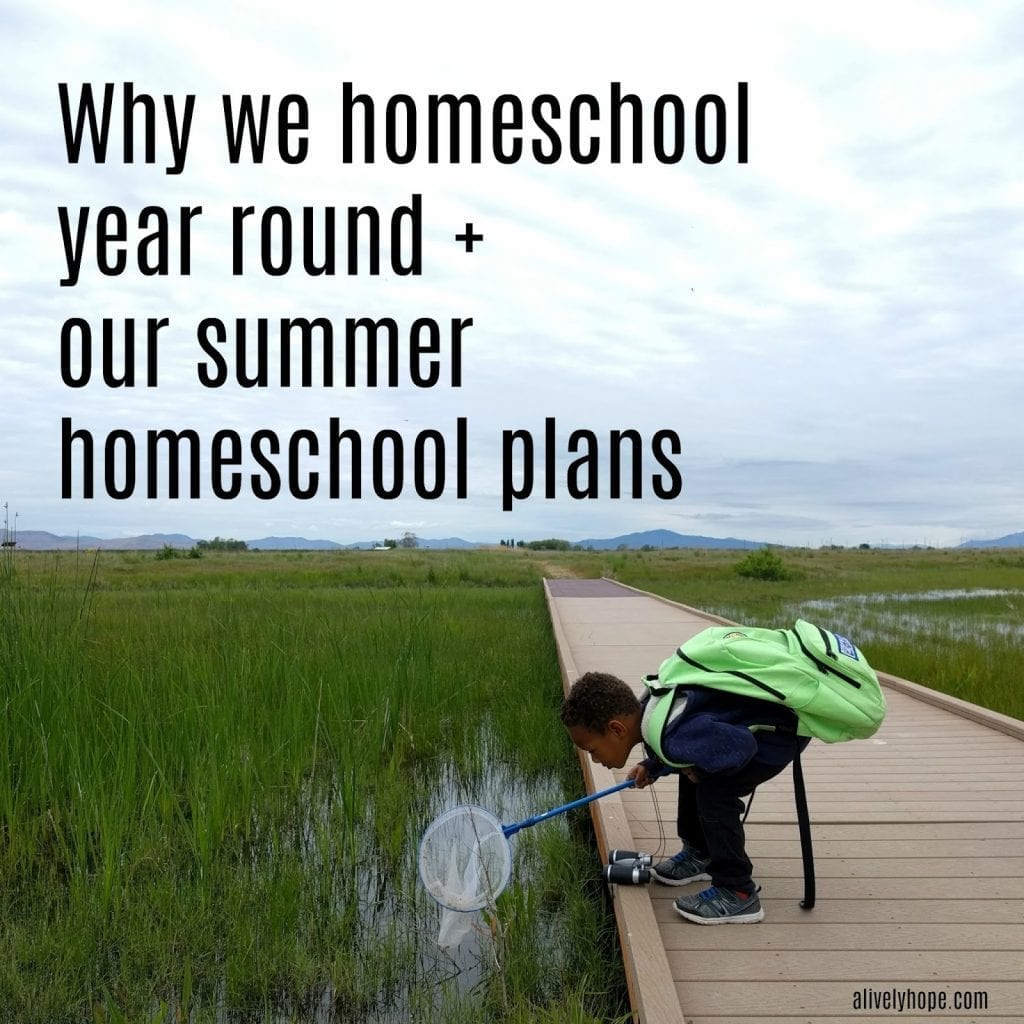Why We Homeschool Year-Round + Summer Homeschool Plans